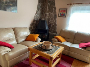 Vintage Holiday House